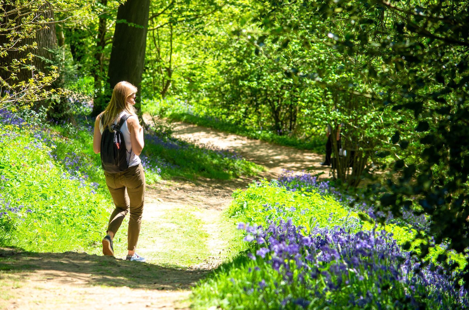 Best Walks in Kent (2)