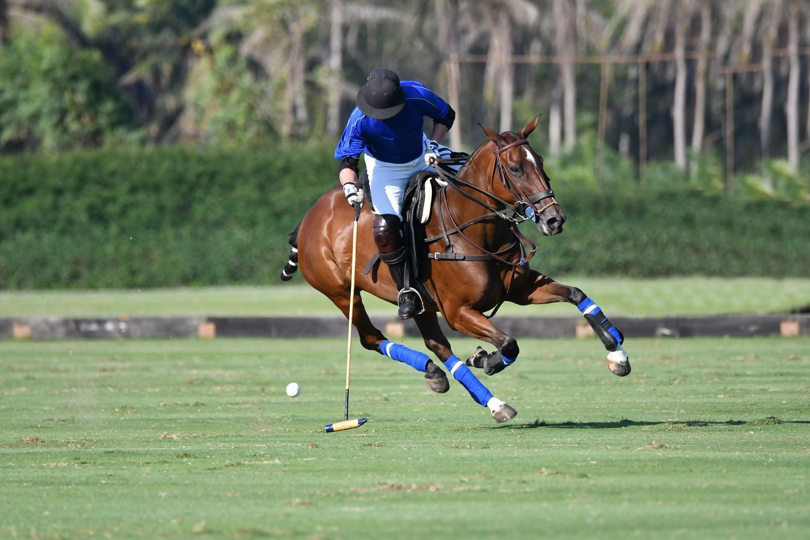 Equestrian and Polo Club