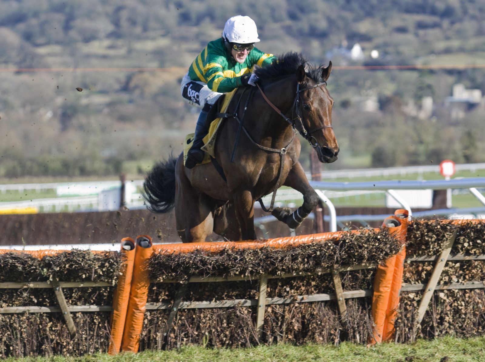 The Insiders Guide to Cheltenham Gold Cup 2024