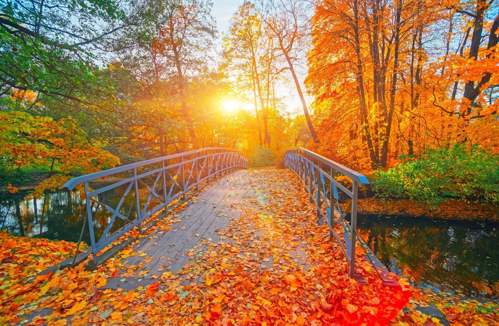 Things to Do in November