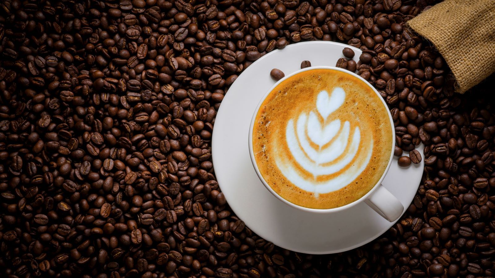 best coffee mayfair