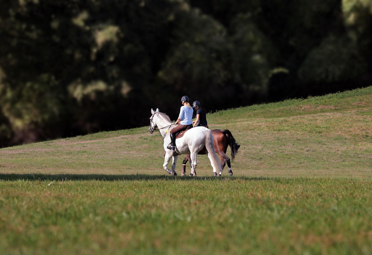 ride-out-3788373_1280
