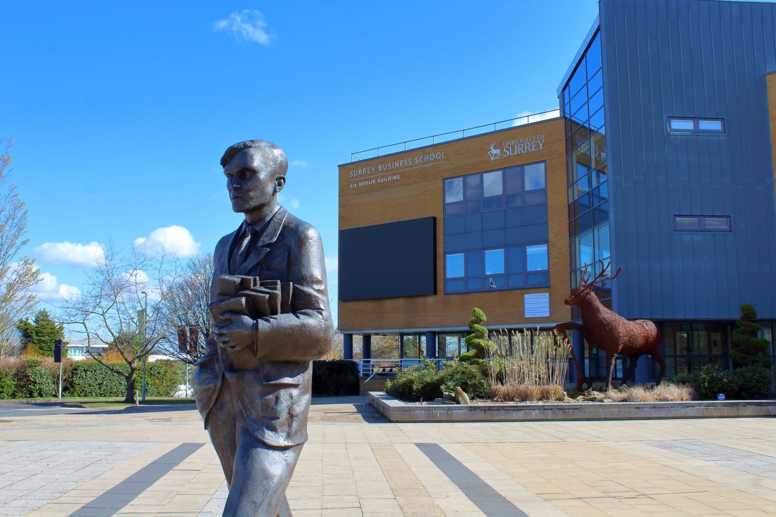 university of surrey