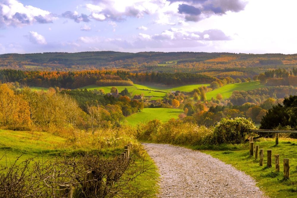 Surrey hills