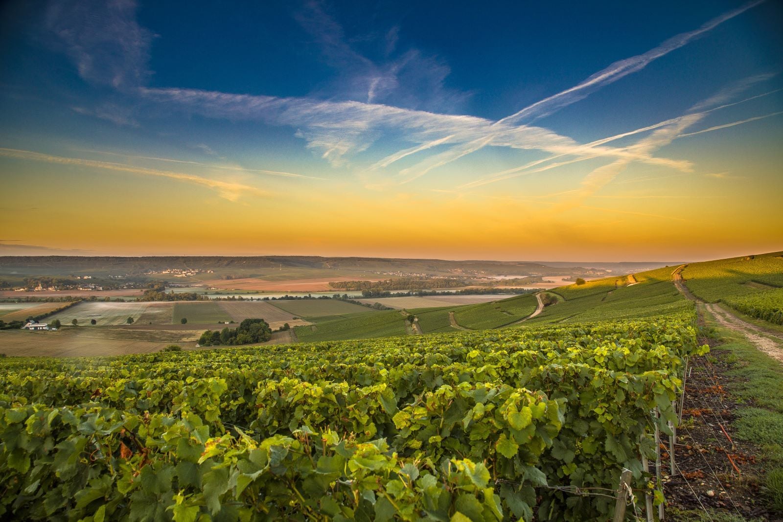 champagne region