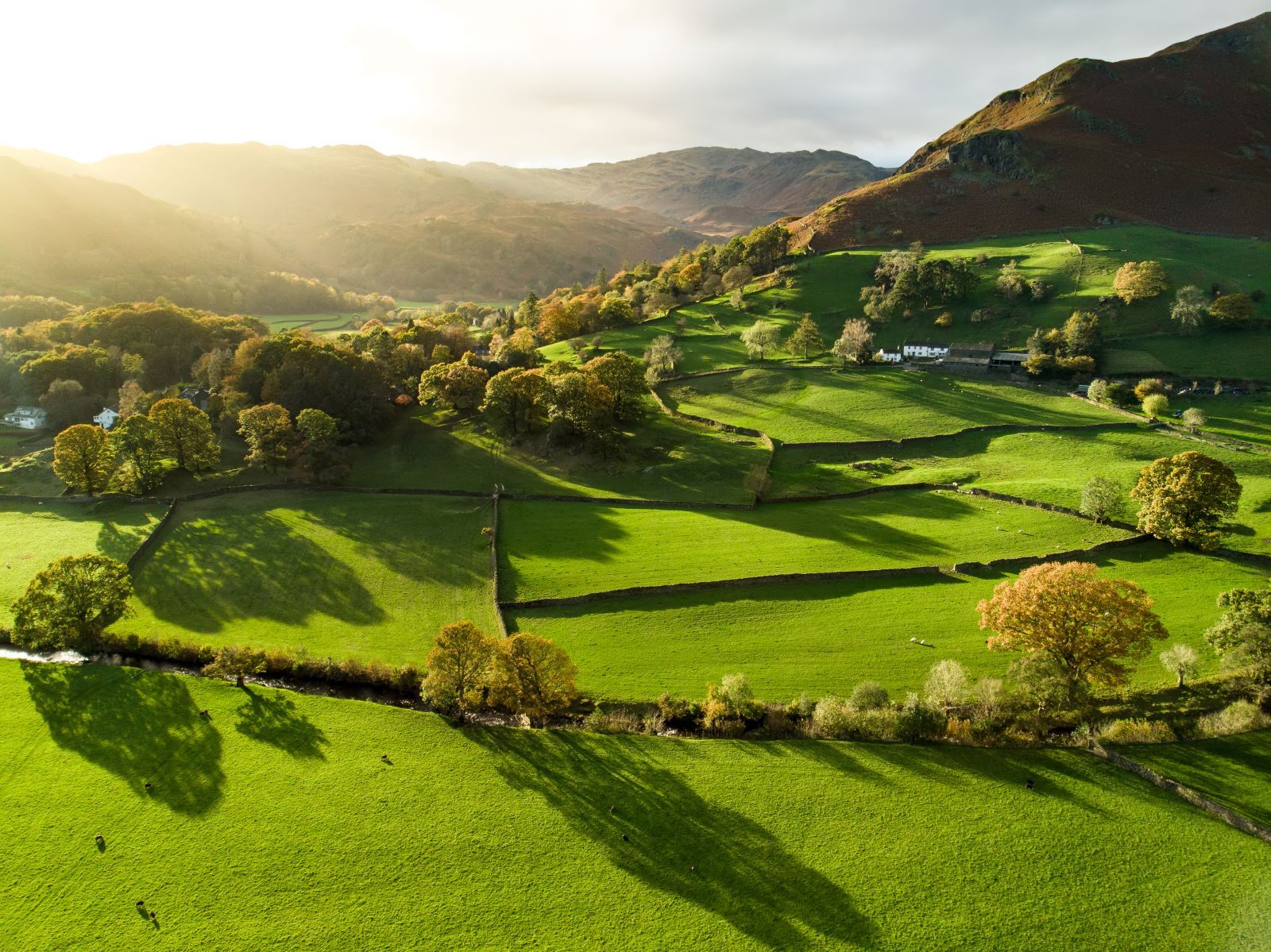 living in the countryside
