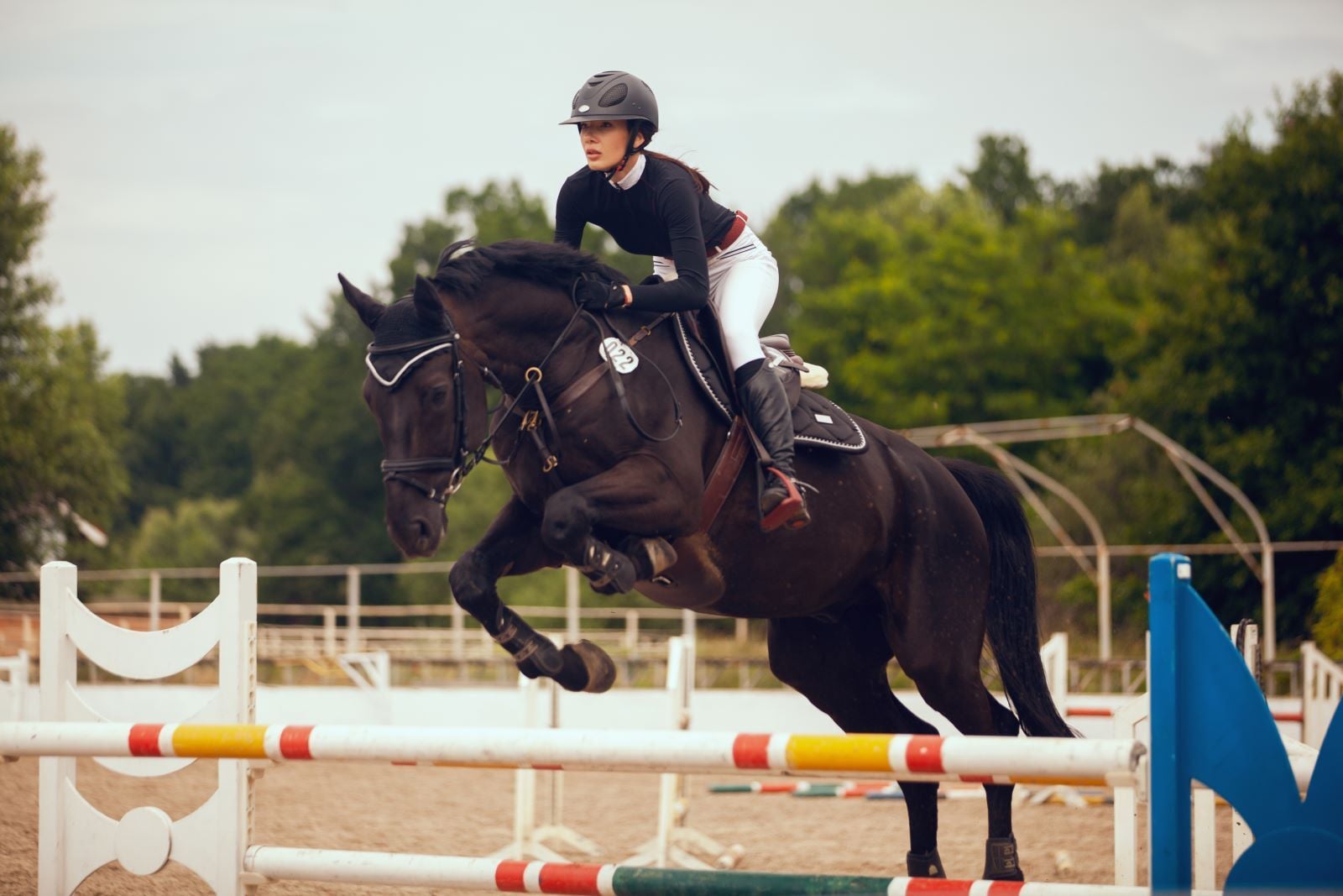 luxury equestrian brands uk