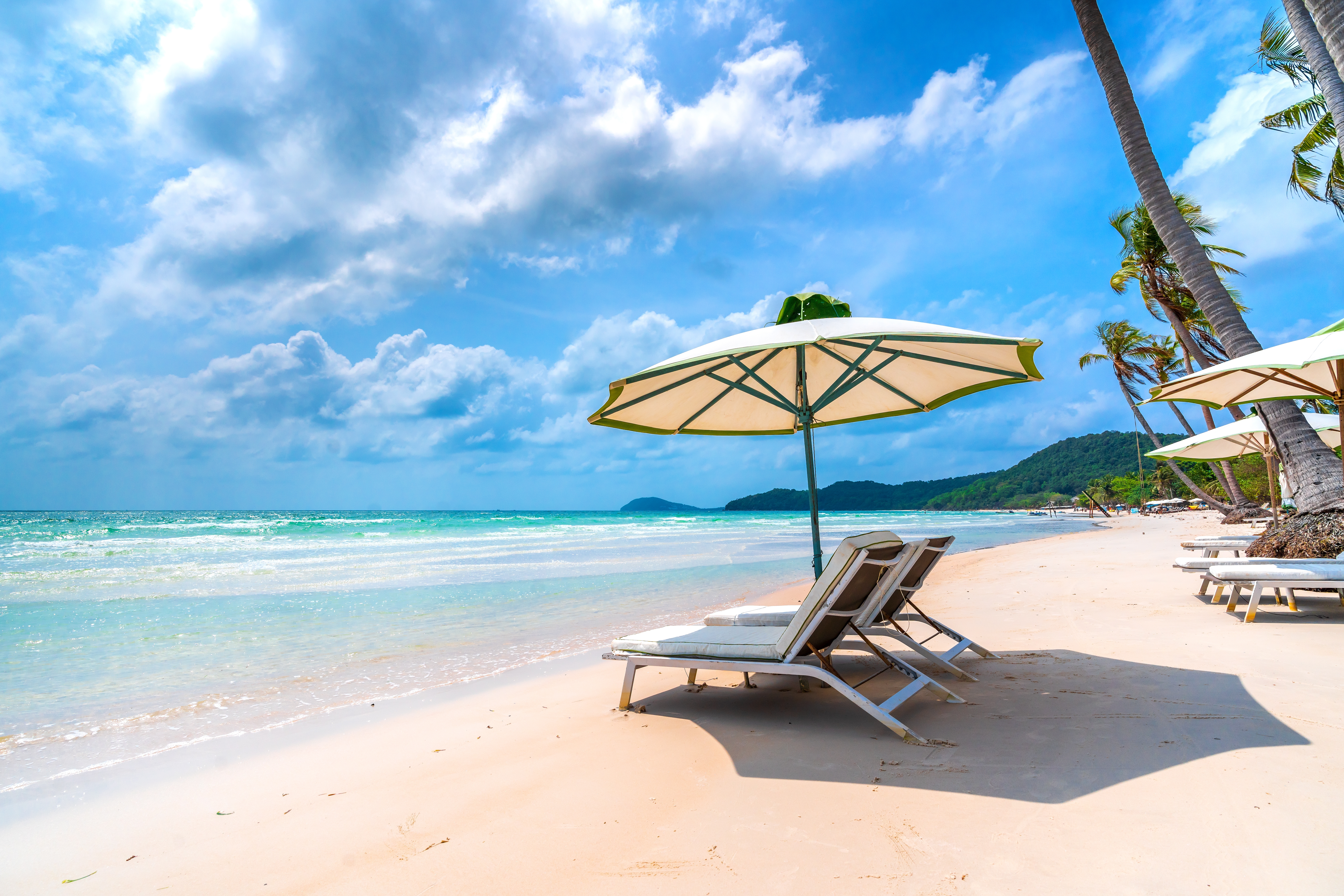 shutterstock_2477002139