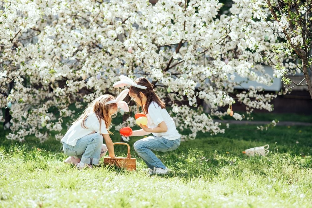shutterstock_2734545651