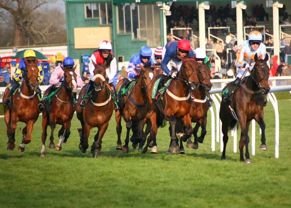 surrey racecourse